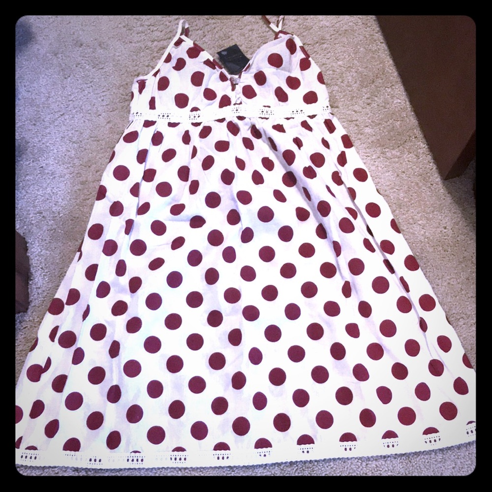 Brand new Francesca’s Dress